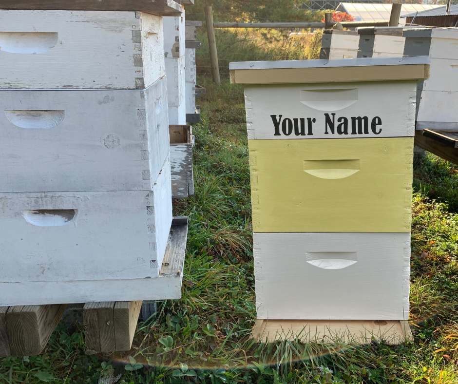 Sponsor-A-Hive Program (1-Year Subscription 2024-2025)