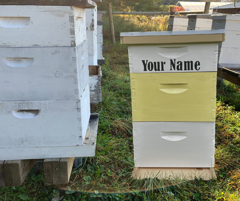 Sponsor-A-Hive Program (1-Year Subscription 2023-2024)